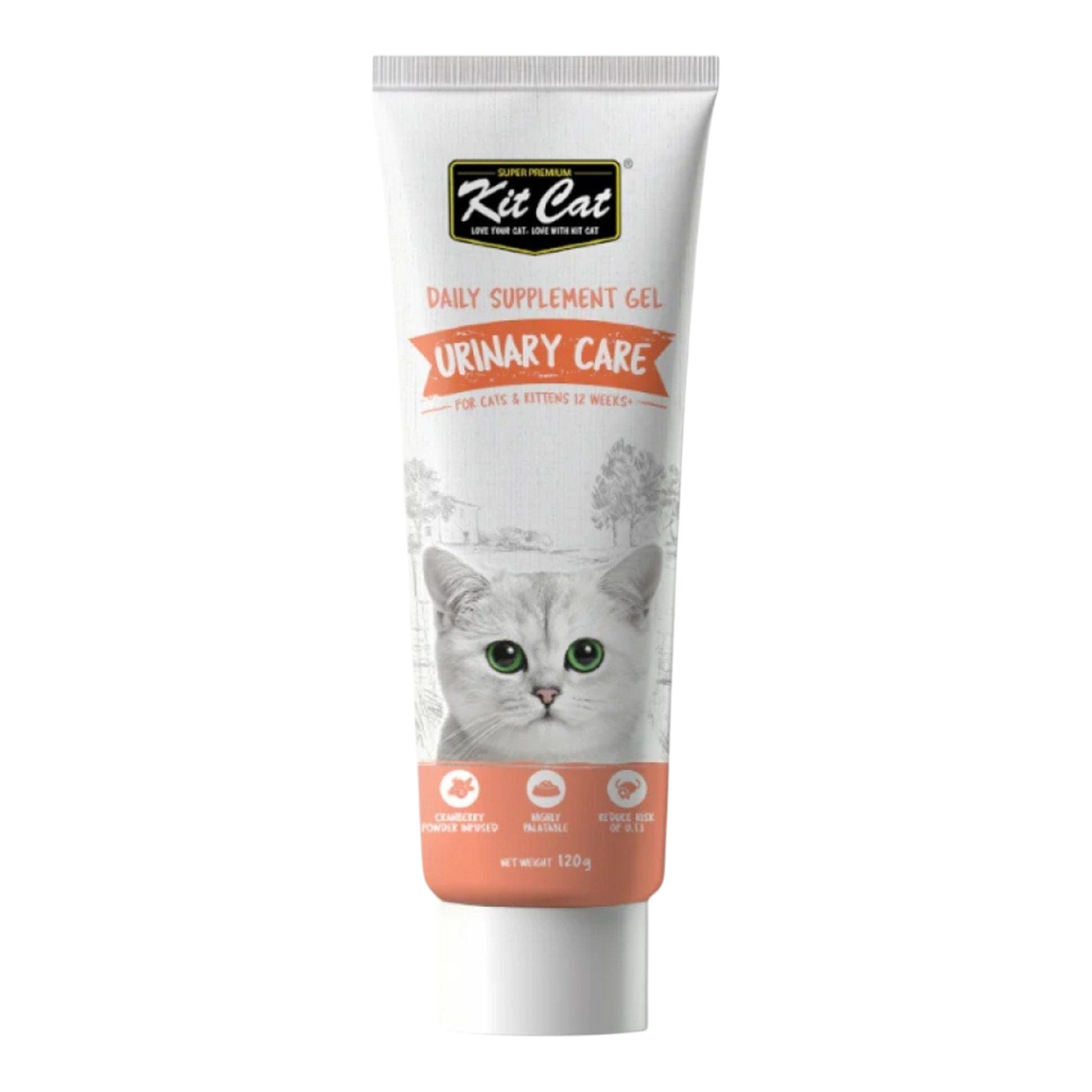 Gel Dinh Dưỡng Kit Cat Hỗ Trợ Tiết Niệu Tuýp 120g cho Mèo