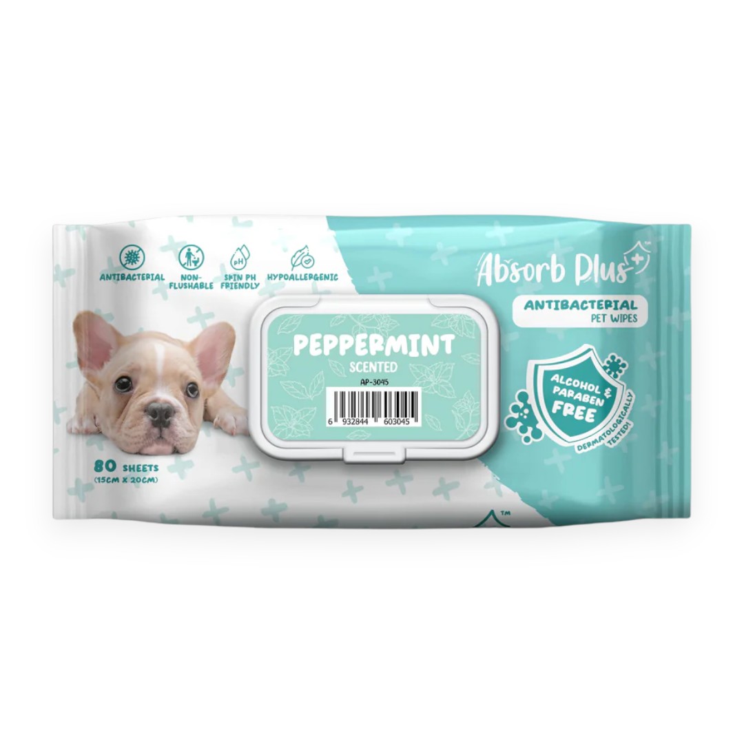 Khăn ướt Absorb Plus Than Hoạt Tính Hương Bạc Hà 80 Tờ Size 15x20 cm cho cún - Peppermint