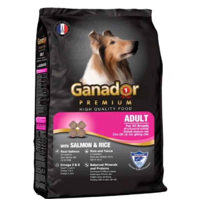 Ganador Adult Salmon&Rice 400g