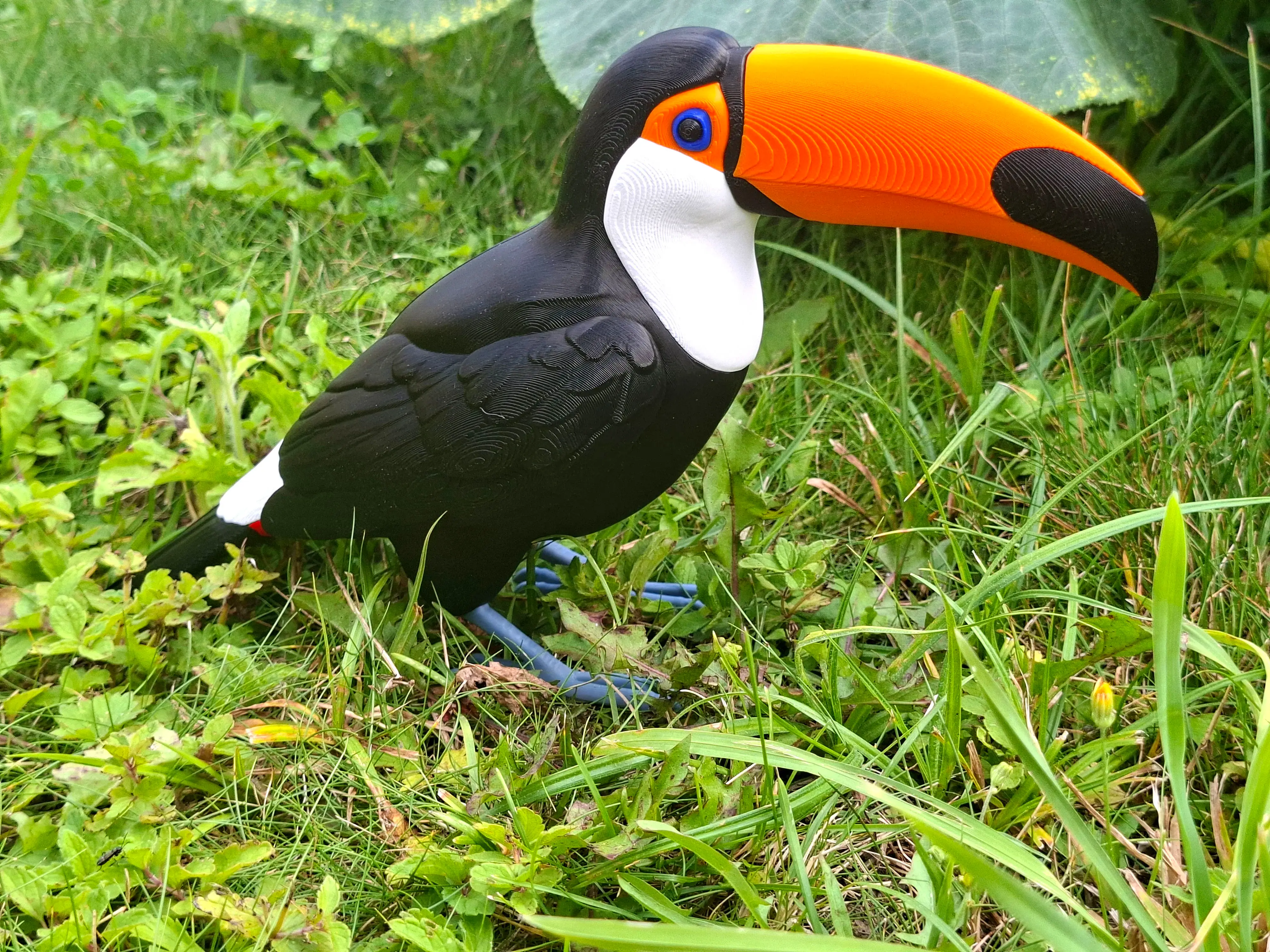 Tucano