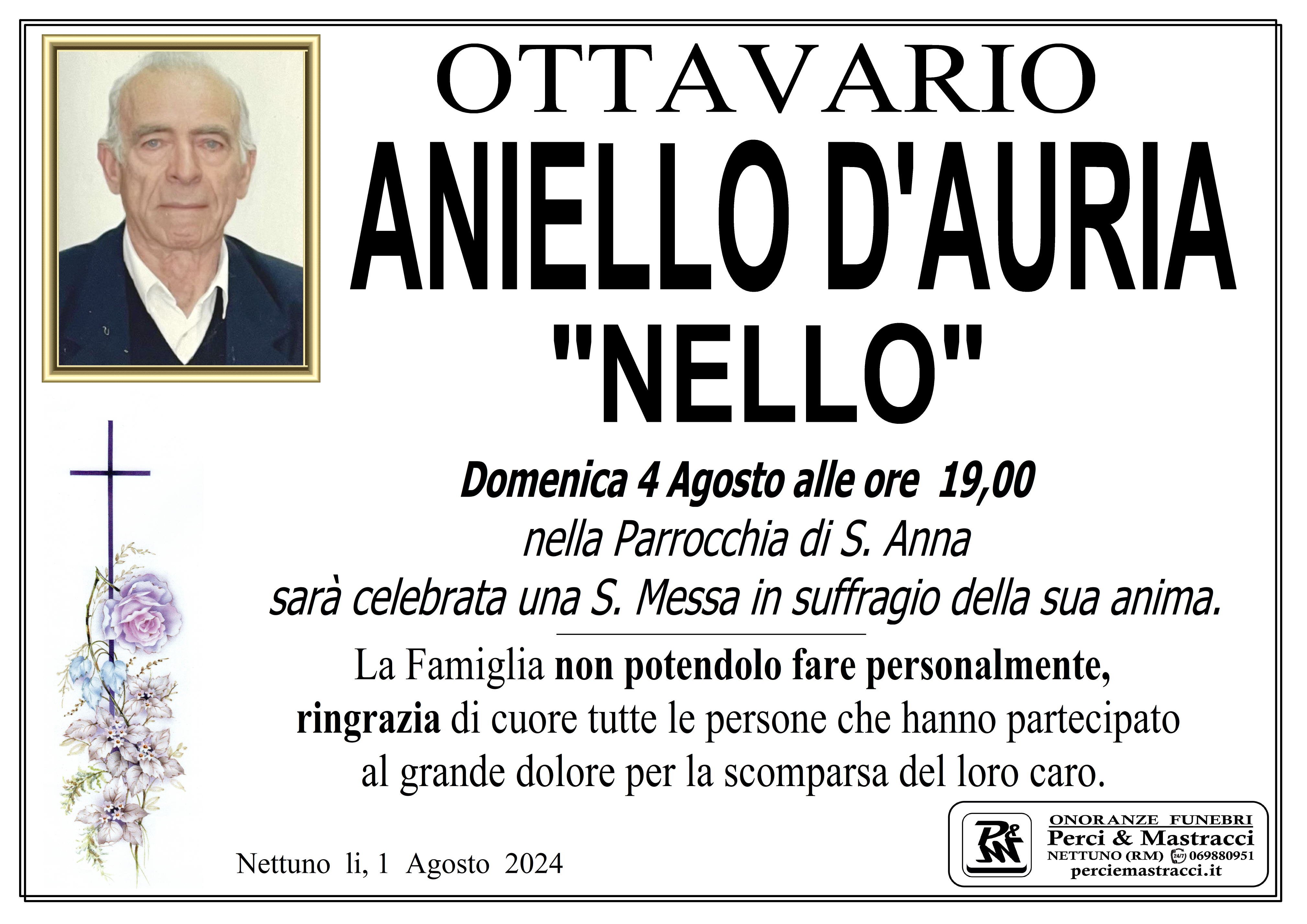 ANIELLO D'AURIA