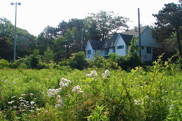 High Park Nature Centre