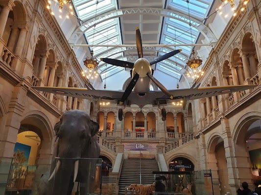 Kelvingrove Art Gallery and Museum