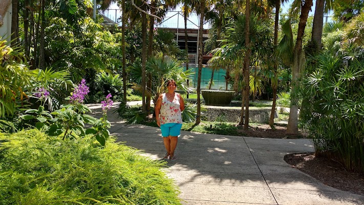 Miami Beach Botanical Garden