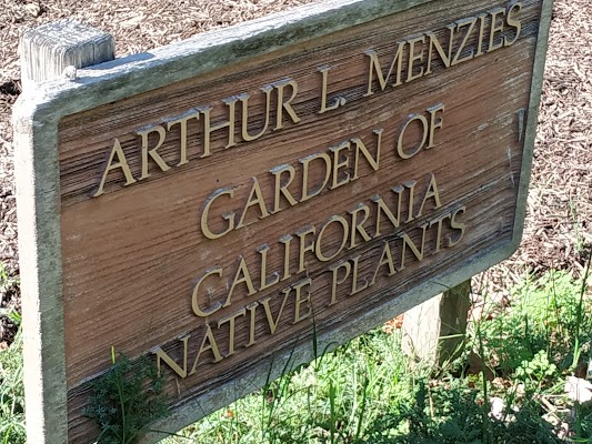 San Francisco Botanical Garden