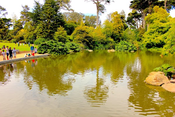 San Francisco Botanical Garden