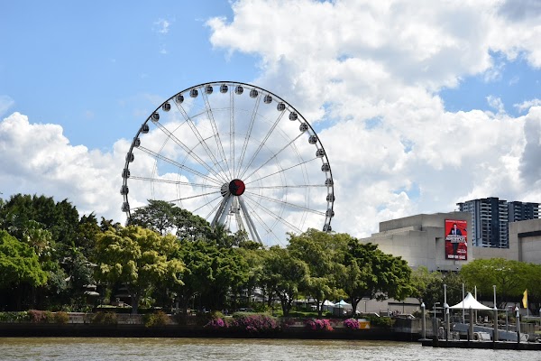 The Wheel of Brisbane