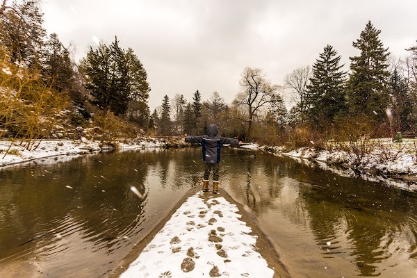 Toronto Botanical Garden