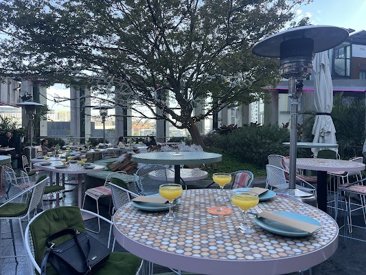 Untied - Rooftop Sydney