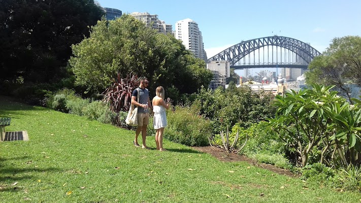 Wendy Whiteley's Secret Garden