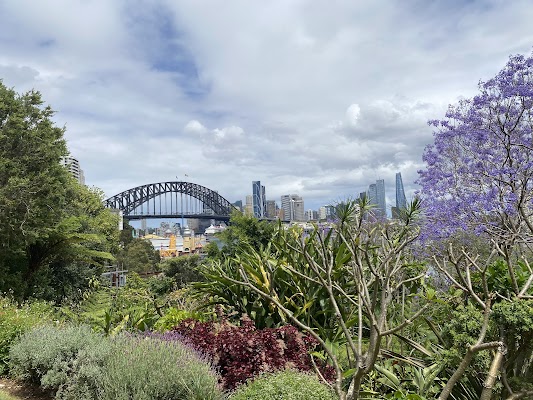 Wendy Whiteley's Secret Garden