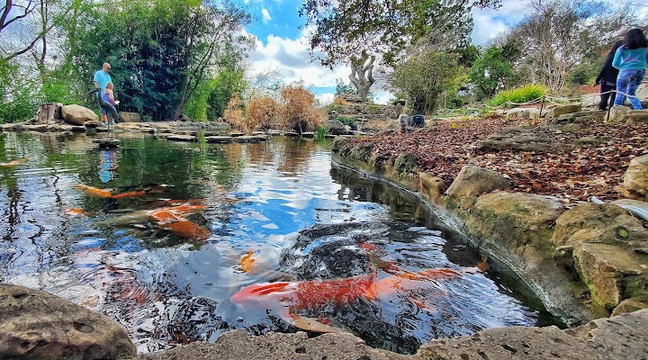 Zilker Botanical Garden