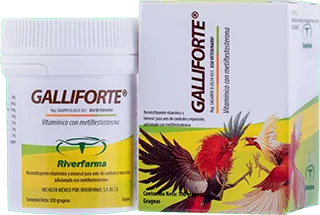 GALLIFORTE