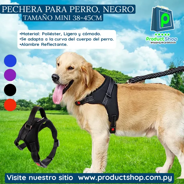 pechera iguana mini