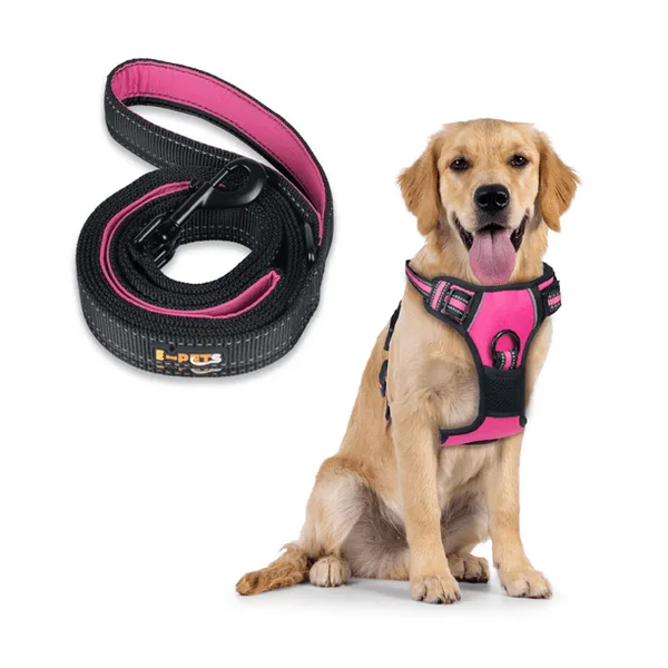 CORREA CON PECHERA DE ALITAS ROSA