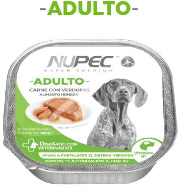 Cluster Adulto