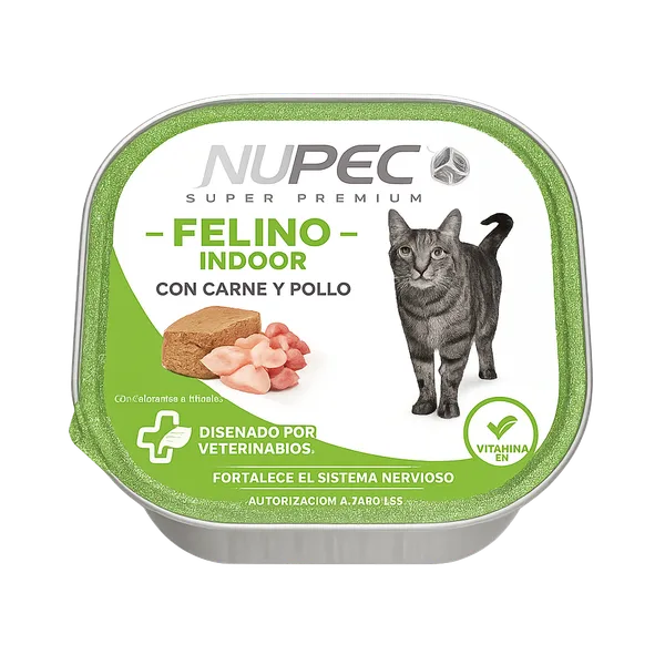 Cluster Felino Indoor