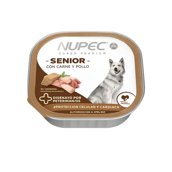 Cluster Senior