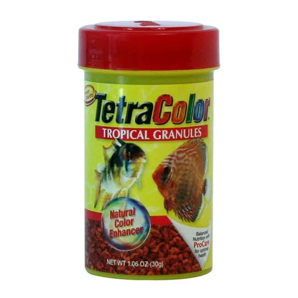 tetracolor tetra