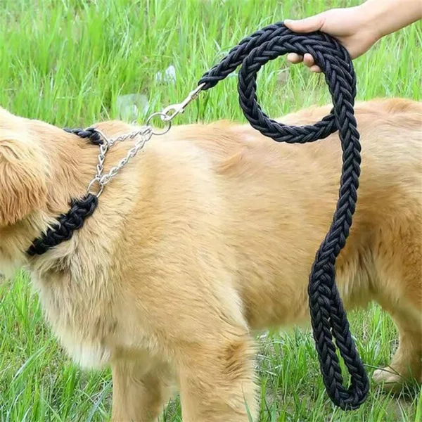 COLLAR C/CORREA TRENZADO