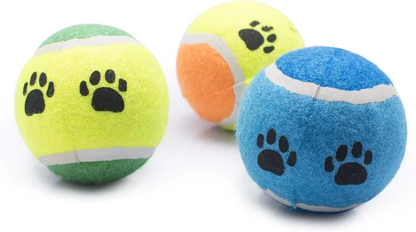 PELOTA PARA PERRO