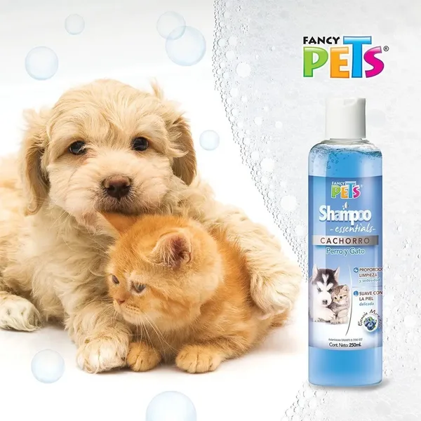 SHAMPOO USO GENERAL
