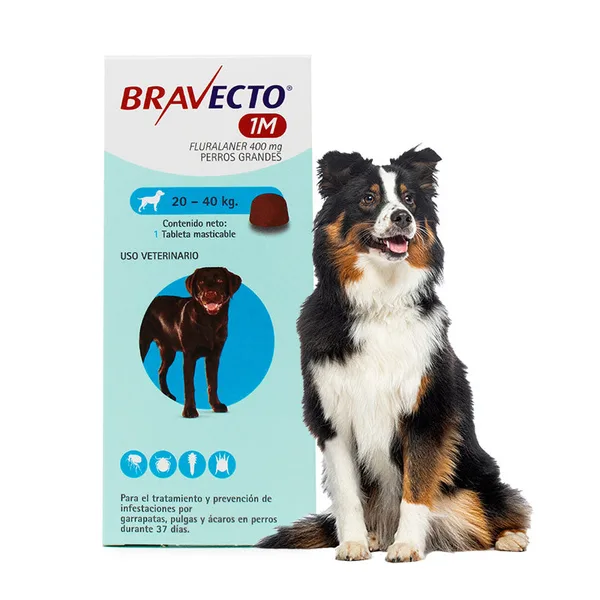 BRAVECTO 1M DE 20 A 40