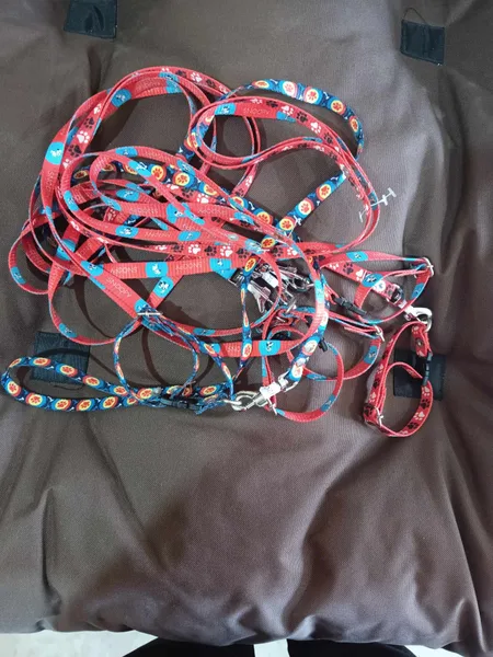 CORREA CON COLLAR VARIOS DISEÑOS