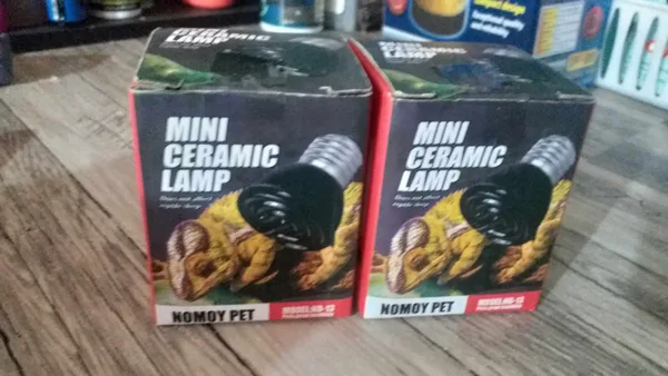 Foco ceramica nocturno terrario $150