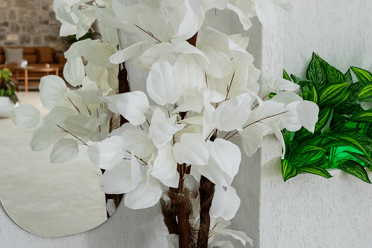 Perlina Kucukkoy Gallery Image