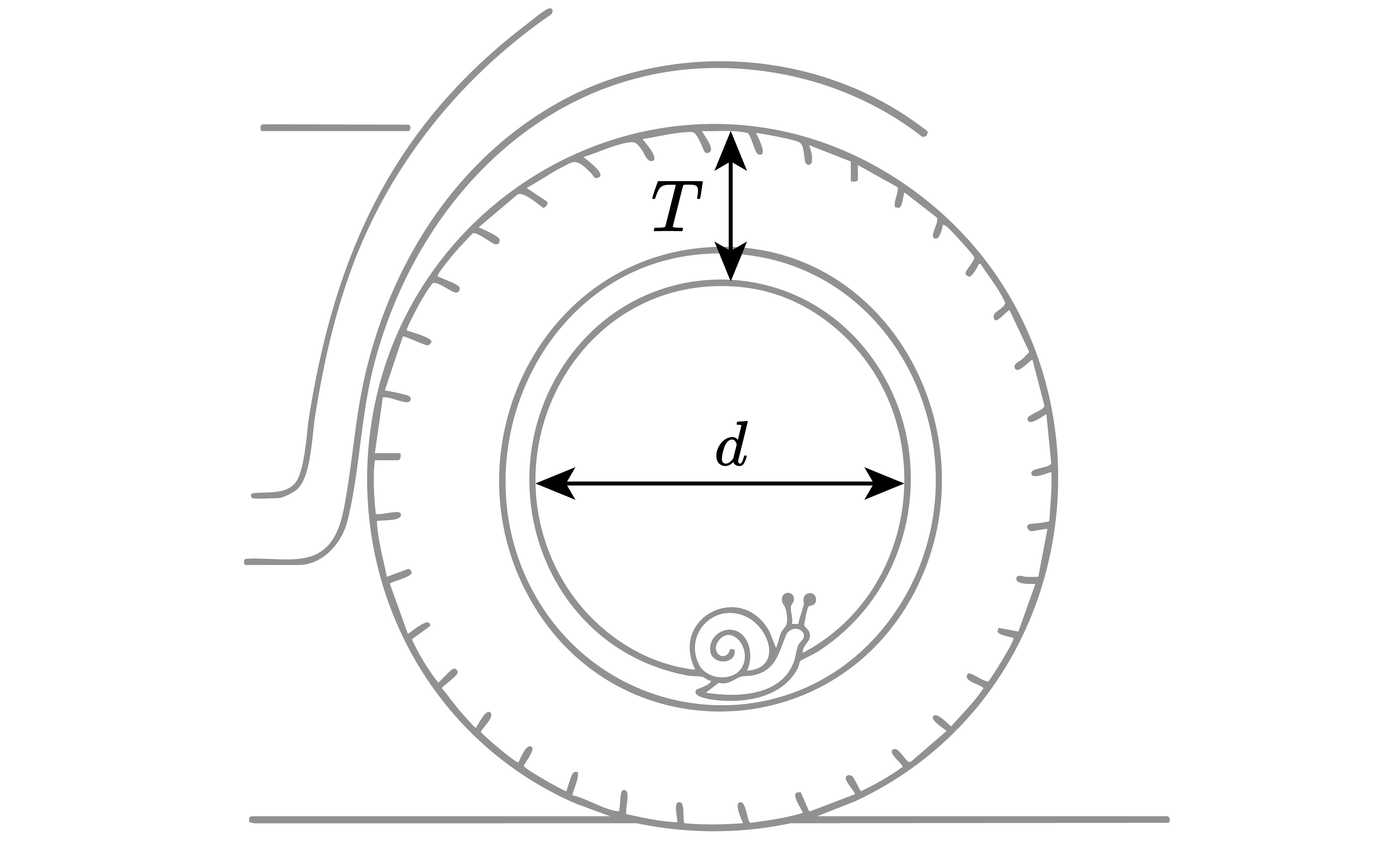 <ul><li><p>A large circle (tire) with short tick marks around its outer circumference sits on a horizontal ground line.</p></li><li><p>A smaller concentric inner circle (rim) is drawn inside the tire.</p></li><li><p>A vertical double-headed arrow between the inner circle and the outer tire near the top is labeled T.</p></li><li><p>A horizontal double-headed arrow across the diameter of the inner circle is labeled d.</p></li><li><p>A small snail icon is drawn on the inner circumference near the lower right.</p></li><li><p>An arc above the tire suggests a fender or wheel well outlining part of the top of the tire.</p></li></ul>
