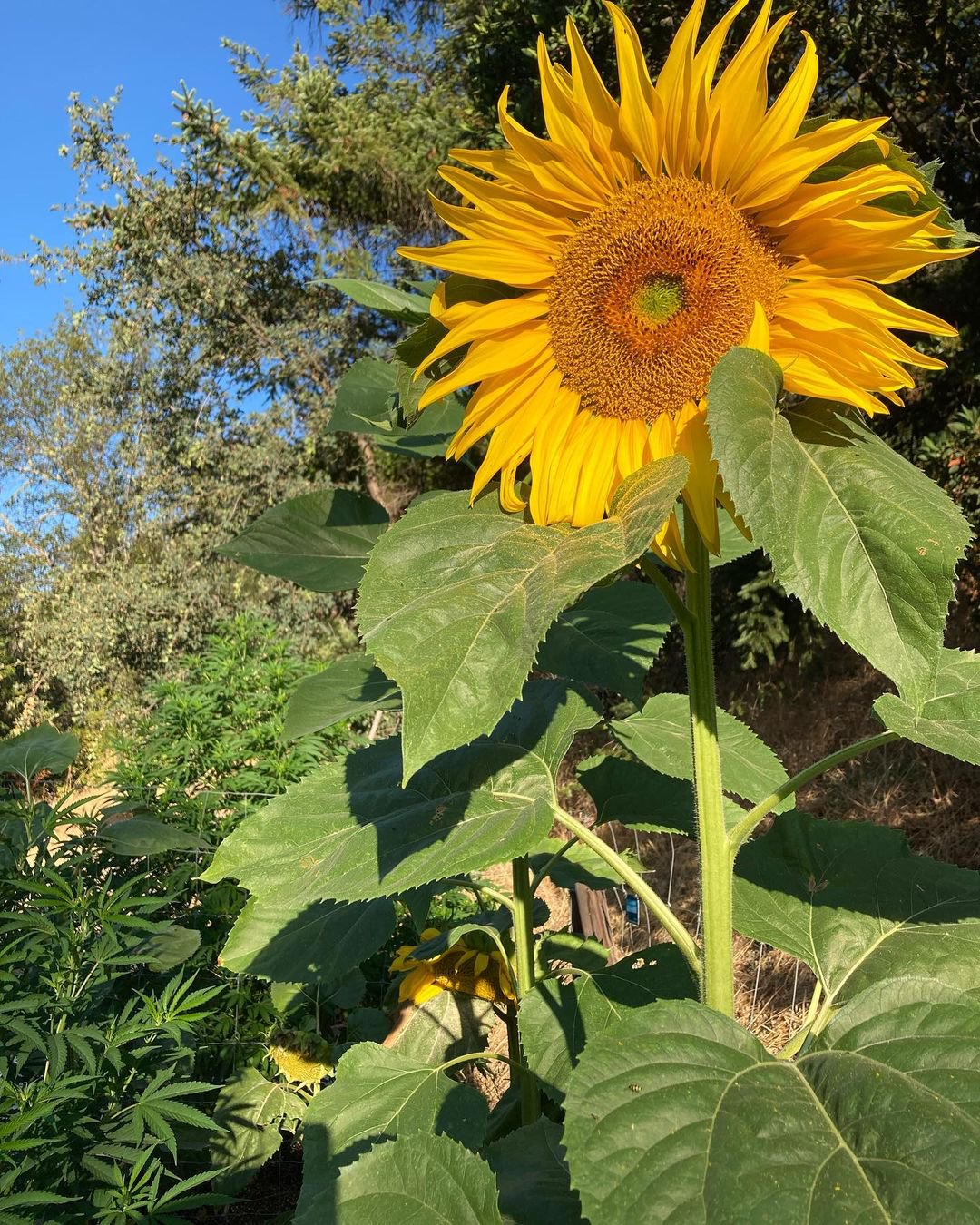 Gallery image from Perrin Family Farm