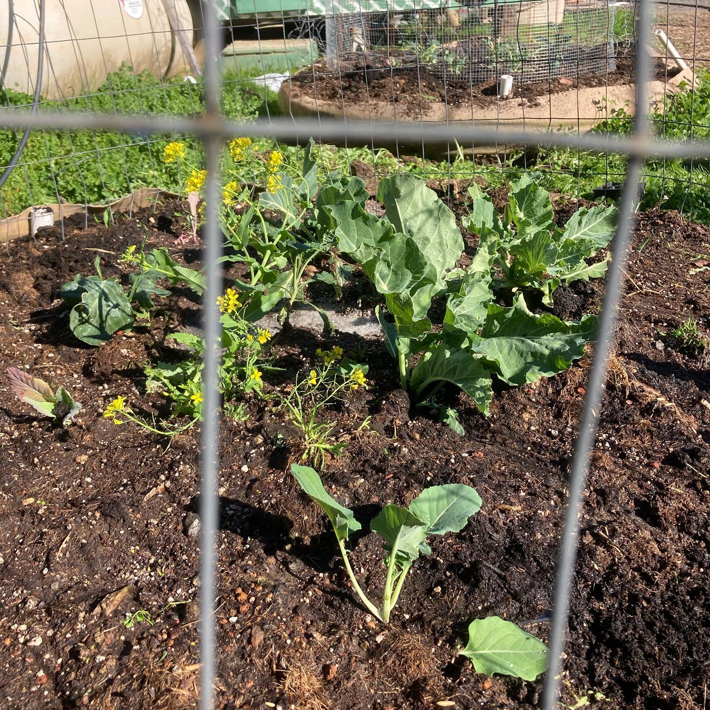 Gallery image from Perrin Family Farm