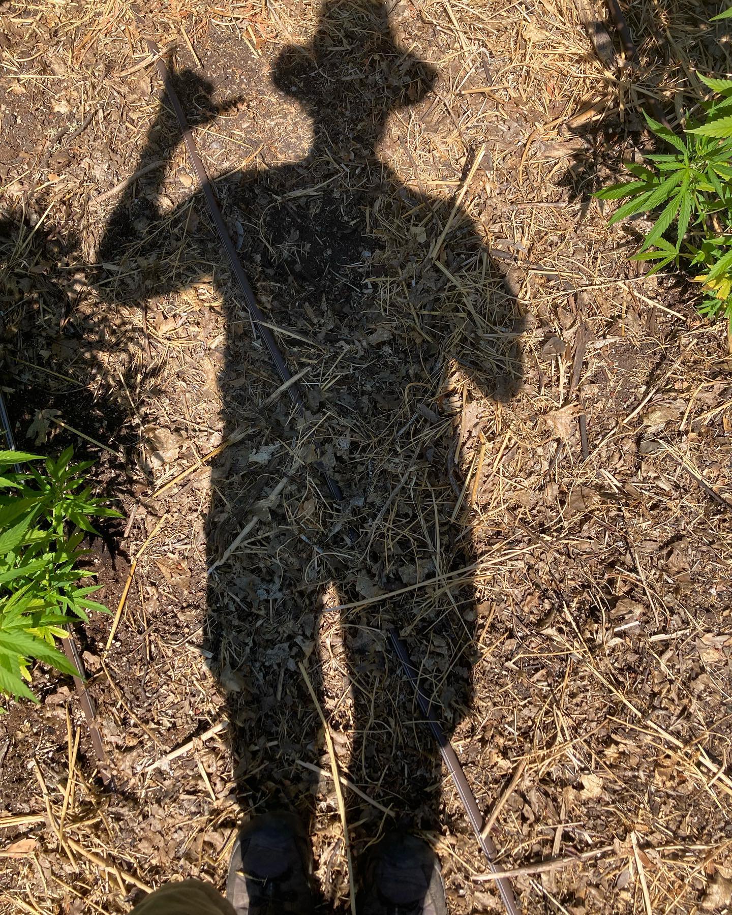 Gallery image from Perrin Family Farm