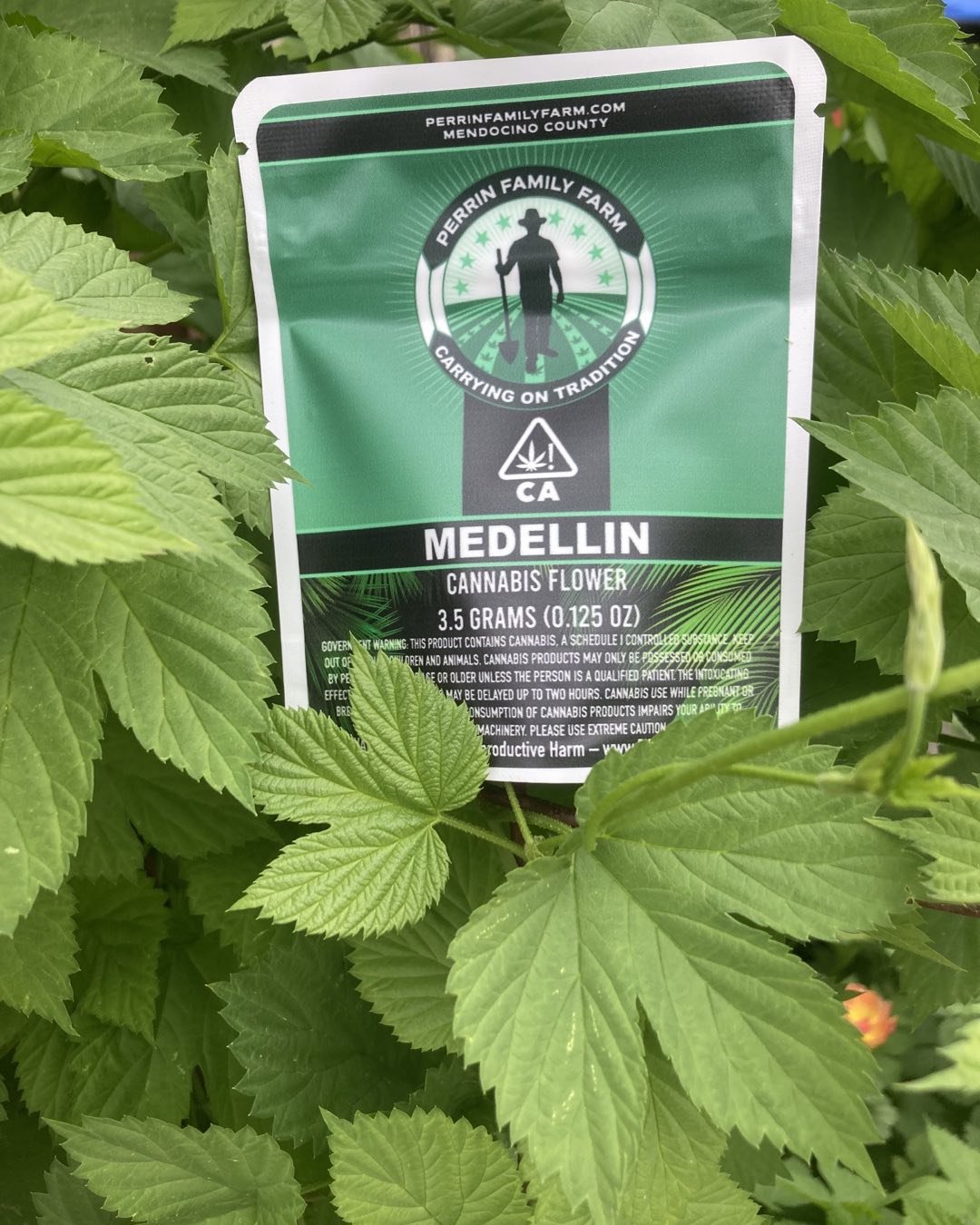 Gallery image from Perrin Family Farm