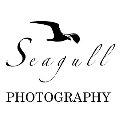 Seagull Photography logo