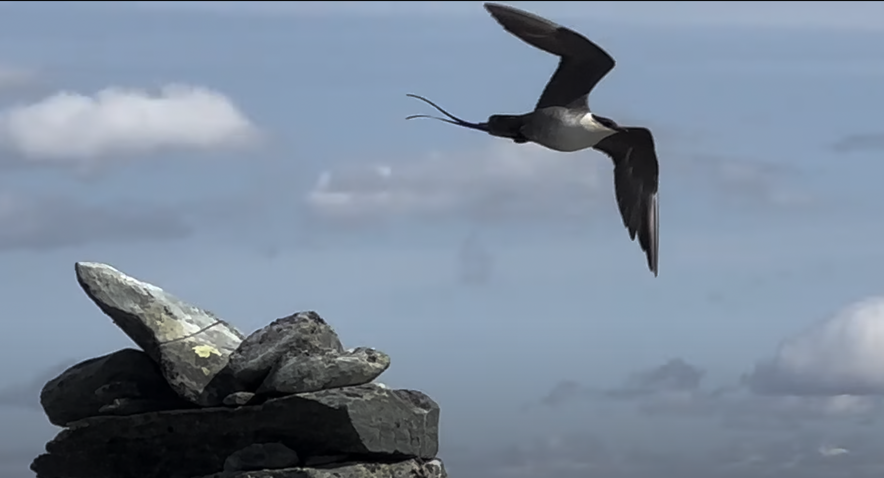 Kvar kjem vondskapen frå – og kvifor USA ikkje lenger er eit unntak