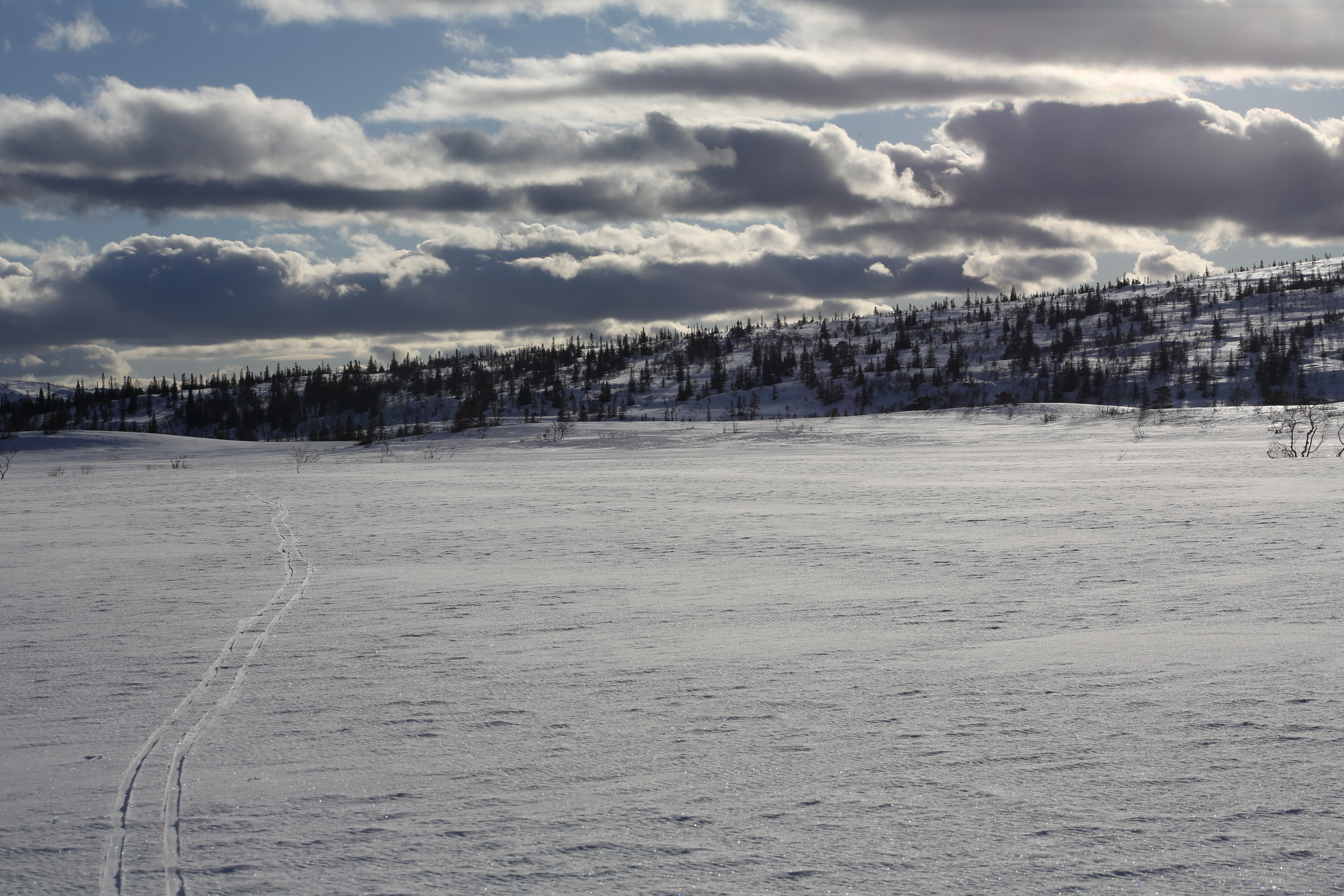 Kvar kjem vondskapen frå?
