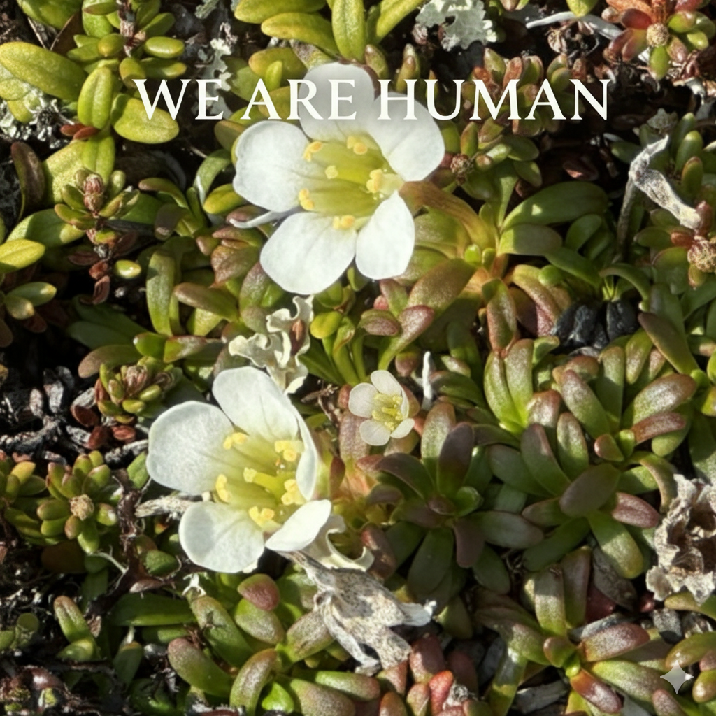 Vi er menneske – We Are Human