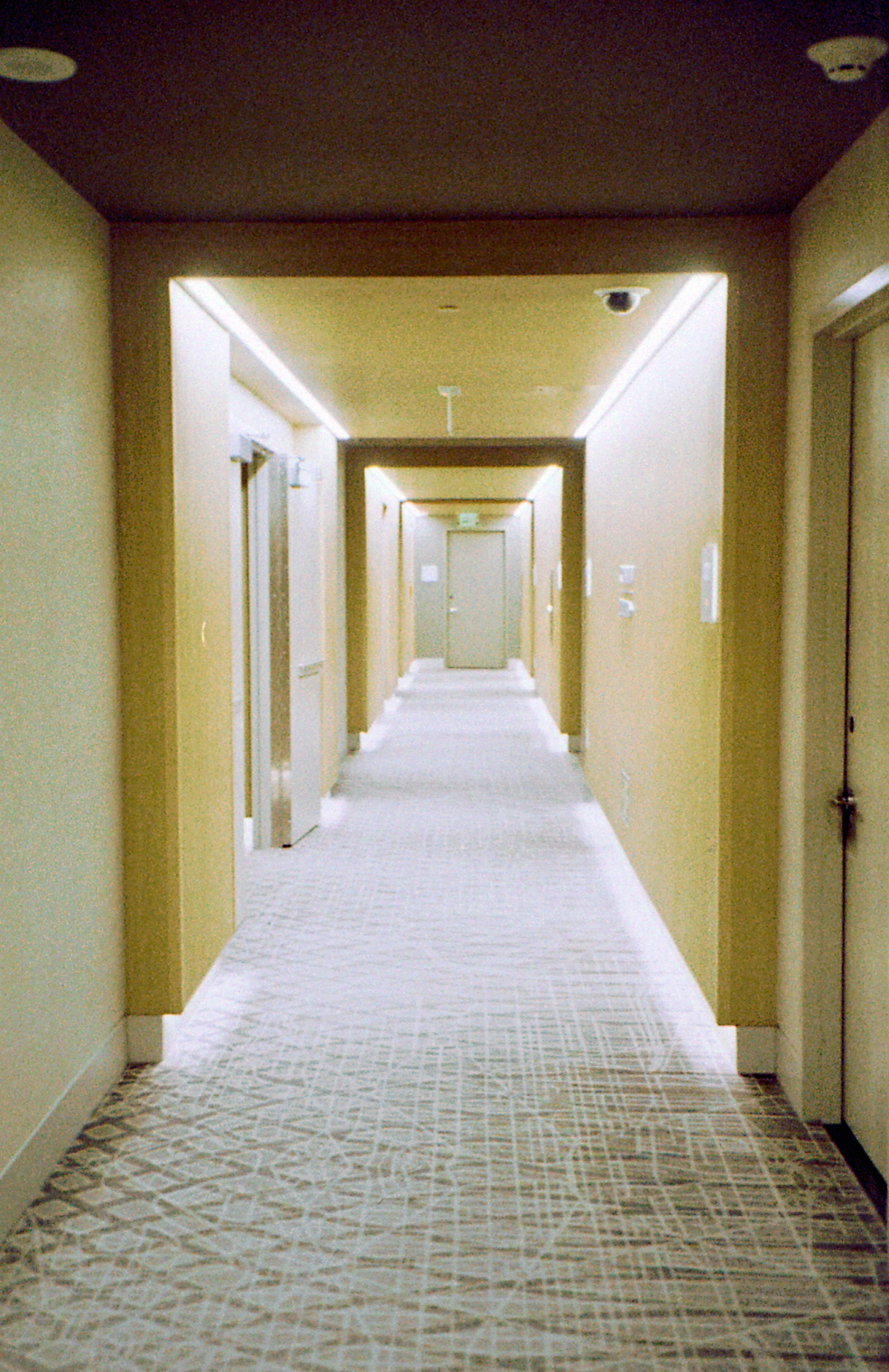 Developed photograph, pair 7