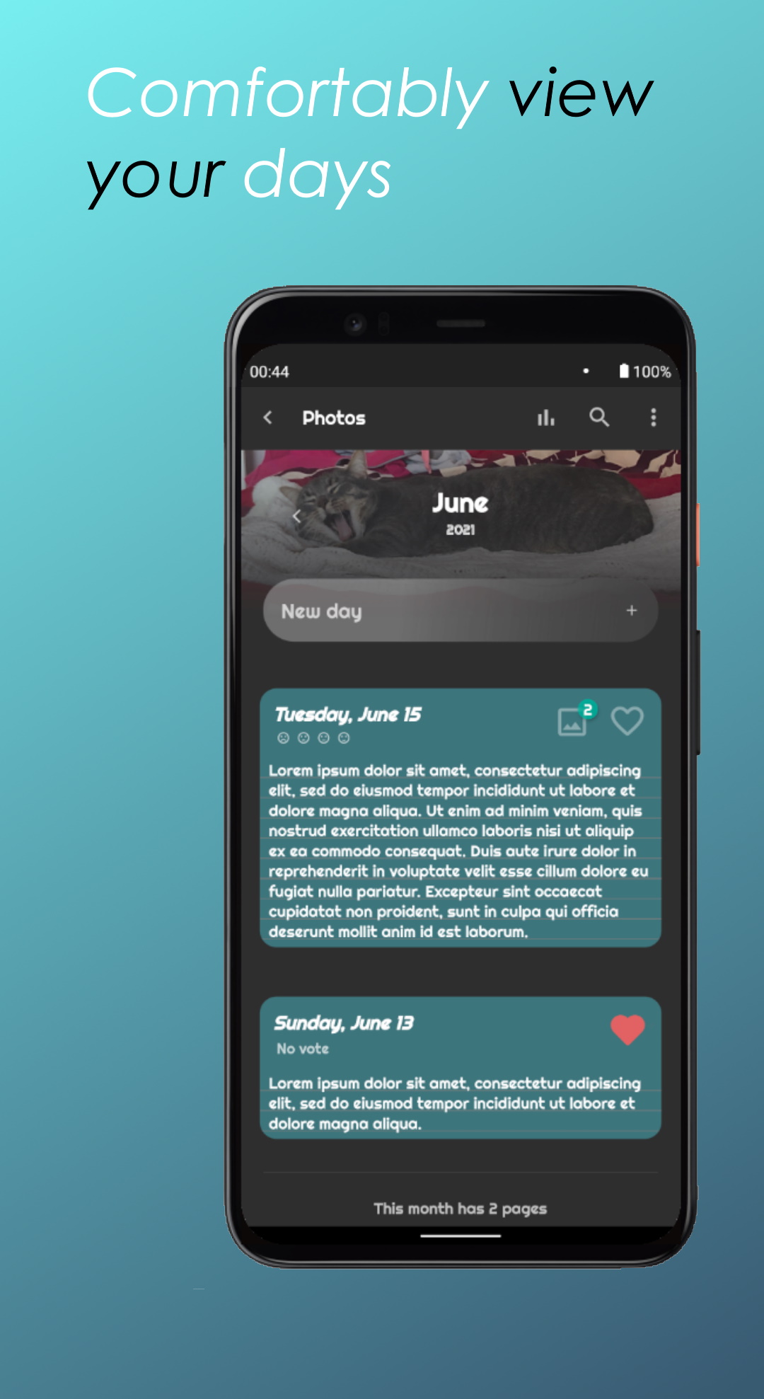 scroll view of a diary