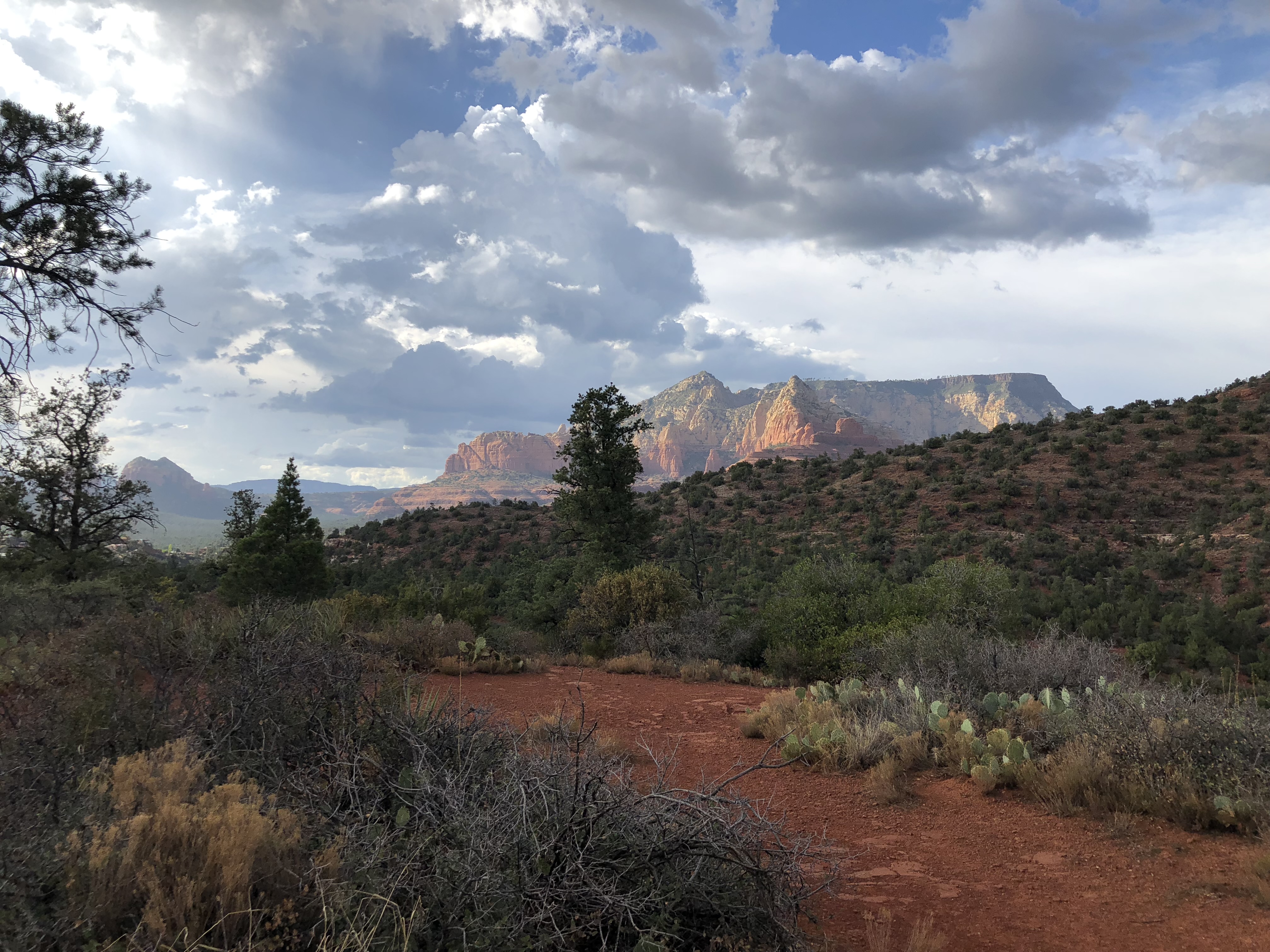 Sedona
