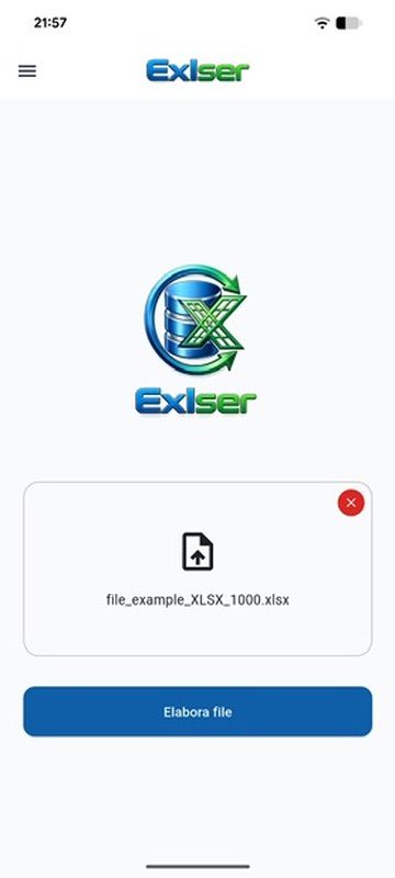 Schermata di importazione guidata di Exlser