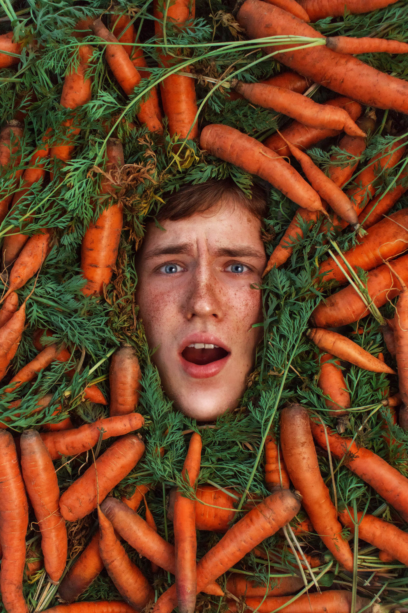 Carrot madness