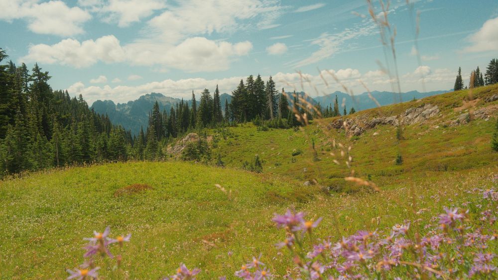 Rainier 1
