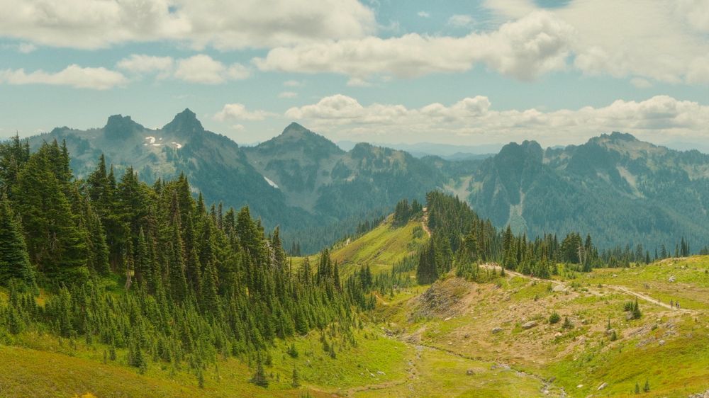 Rainier 7