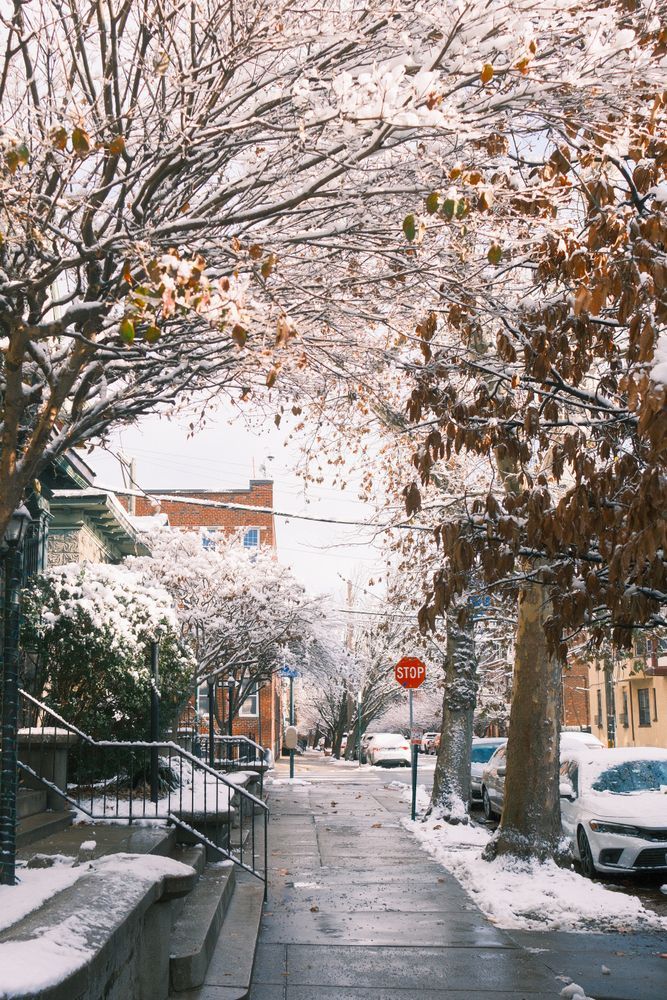 Penn Winter 8