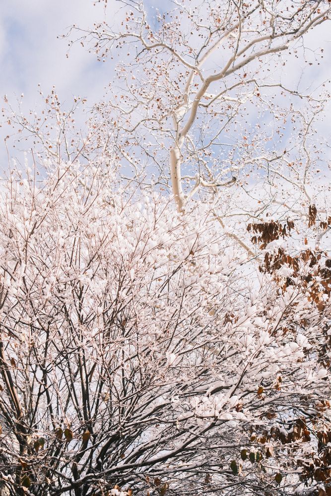 Penn Winter 1