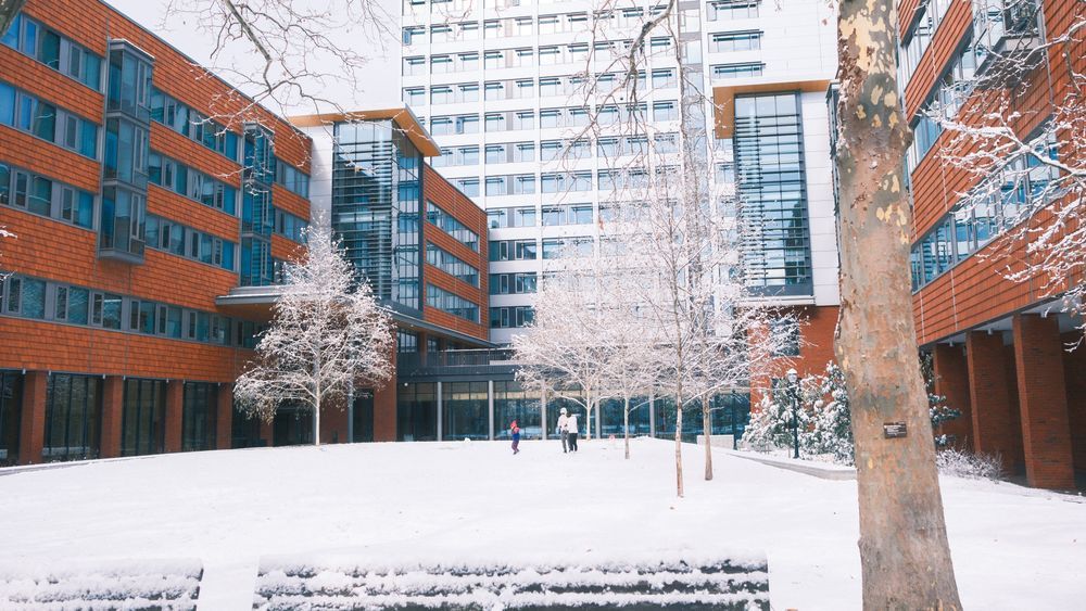 Penn Winter 6
