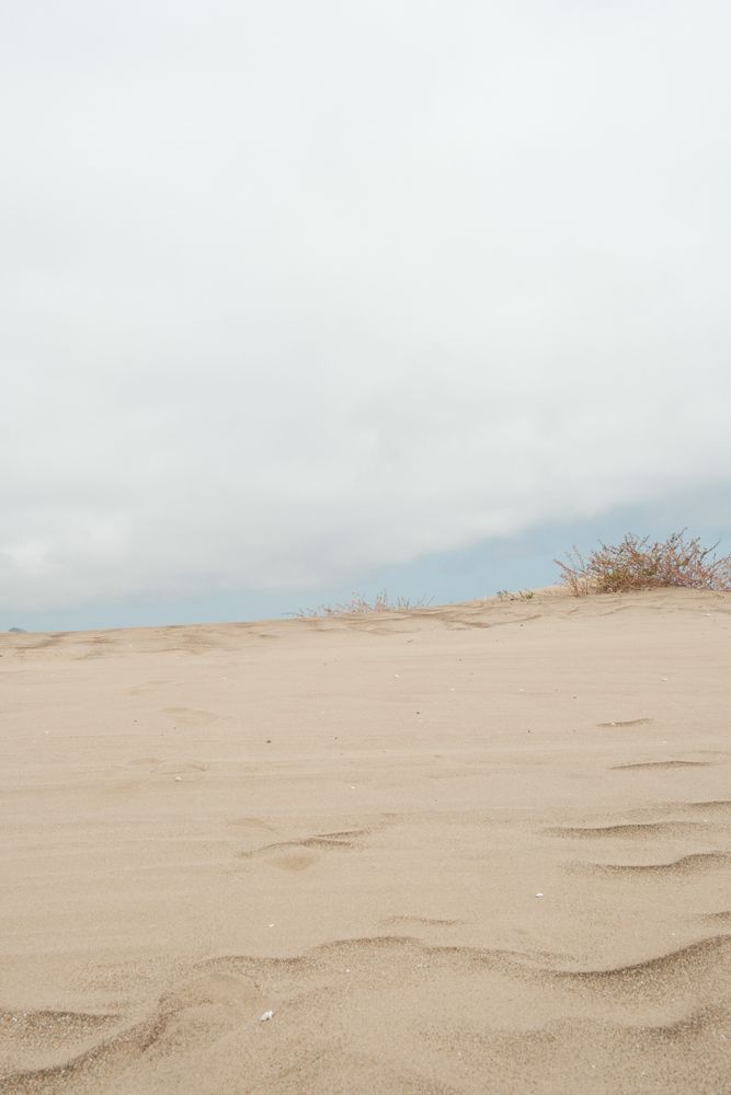 Arroyo Grande 9